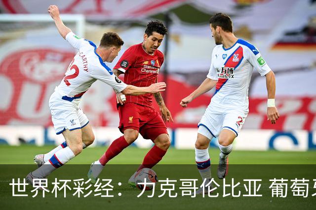世界杯彩经：力克哥伦比亚 葡萄牙抢占榜首