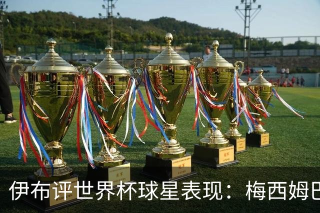 伊布评世界杯球星表现：梅西姆巴佩不变，凯恩升第4，C罗跌出前十